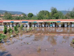 Domaniç’te 80 Arı Kovanı Sular Altında Kaldı