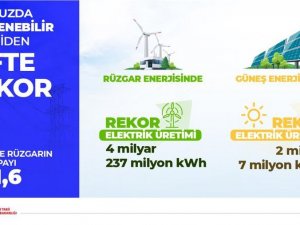 Rüzgar Ve Güneşten Üretilen Elektrik Miktarında Rekor: Toplam Üretimin Yüzde 21,6’sını Oluşturdu