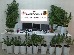 Uyuşturucu Tacirlerine Jandarma Operasyonu: 1 Gözaltı