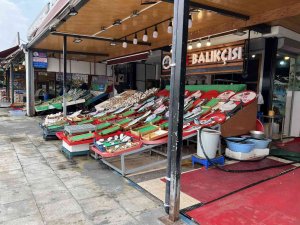 Balıkçılar Bu Sezon Bolluk Bekliyor, ’Vira Bismillah’ Diyecekler