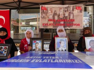 Muş’ta Annelerin Evlat Nöbeti 71. Haftaya Girdi