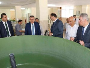 Göl Ve Göletlere 10 Milyon Yavru Balık