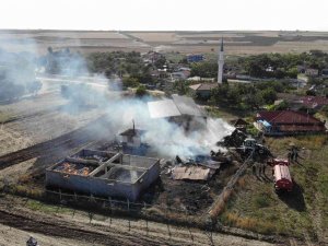 Edirne’de Çiftlikte Yangın: Can Pazarı Yaşandı, Hayvanlar Telef Oldu