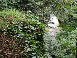 Fındık Bahçesinden Dereye Yuvarlanan 4 Yaşındaki Çocuk Hayatını Kaybetti