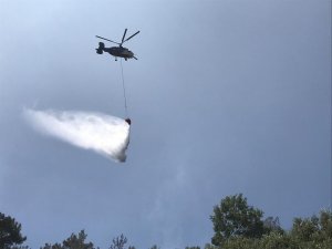 Antalya’da Orman Yangını