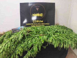 Çorum Polisinden Uyuşturucu Operasyonu