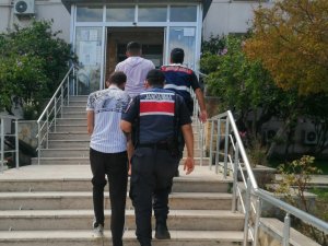 Edirne’de Küçükbaş Hayvan Hırsızlığı Yapan Şüpheliler Yakayı Ele Verdi
