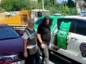 Pendik’te Beslediği Kediye Şiddet Uygulayan Şahıs Yakalandı