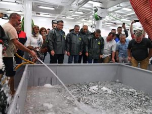 Vali Şıldak, İstavrit Çekti