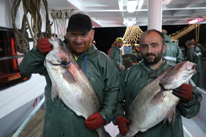 Rize’de Balık Sezonu Bereketli Başladı