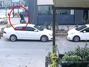 Önce Kameralara Sonra Da Polise Yakalandı