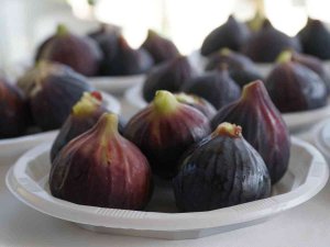 Mustafakemalpaşa’da İncirler Görücüye Çıkıyor