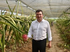 Kaymakam Şahin’in Son Projesi “Efeler Kekik Kokuyor” Oldu