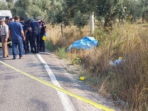 Akşam Eve Dönmedi, Yol Kenarında Ölü Bulundu