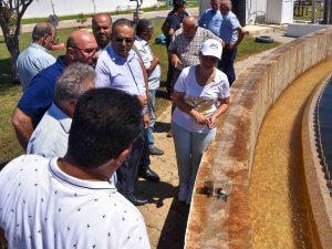 Muhtarlar Meski̇ Tesislerini İnceledi