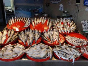 Trabzon’da Yeni Balık Av Sezonunun İlk Günü Palamutta Beklenti Gerçekleşmedi