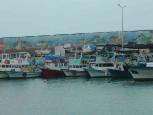 Akçakocalı Balıkçıların Sezon Açılışına Hava Muhalefeti