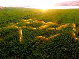 Tarladaki Sulama Gün Batımı İle Birleşti, Ortaya Güzel Görüntüler Çıktı
