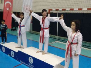 Gökberk Serin Tekvandoda İl Birincisi