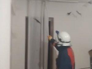 Gümüşhane’de Evini Yarasa Basan Vatandaşın İmdadına İtfaiye Yetişti