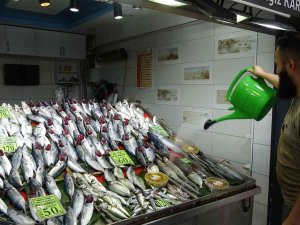 Çanakkale’de Balıkçılar Yeni Sezondan Umutlu