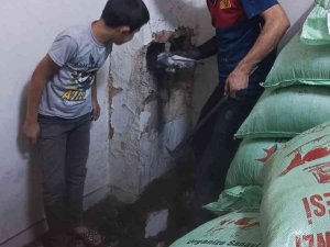 Bacaya Sıkışan Kedi Kurtarıldı