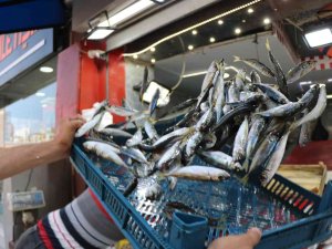 Sezonun İlk Balıkları Tezgahlarda: Palamuda Niyet, İstavrite Kısmet