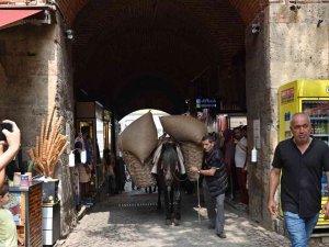 İ̇peksi Festival Koza Alımıyla Başladı
