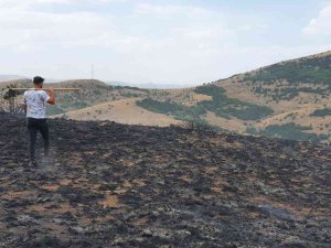 Gümüşhane’de Çobanın Yaktığı Ateş Nedeniyle 20 Hektarlık Arazi Küle Döndü