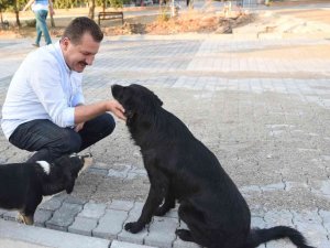 Balıkesir Büyükşehir ‘Mutlu Patiler’ Projesini Hayata Geçiriyor