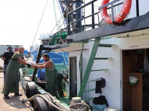 Karadeniz’de Tekneler Kasa Kasa Balıkla Döndü