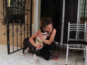 Uyutulmak İstenen Köpeğe Kıyamadı, Komşusuyla Karakolluk Oldu