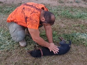 Avcı Can Dostunu Köpeğini Kalp Masajı Yaparak Hayata Döndürdü