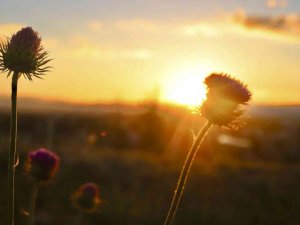 Ağrı’da Kızıla Boyanan Gökyüzü Büyüledi