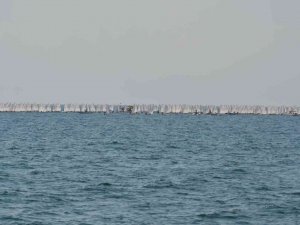 Marmara Denizi’nde Uluslararası Yelken Yarışları Başladı: 8 Ülkeden 313 Sporcu Yarışıyor