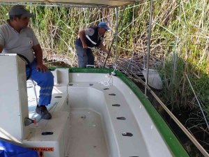 Dünyaca Ünlü Dalyan Kanalında Temizlik