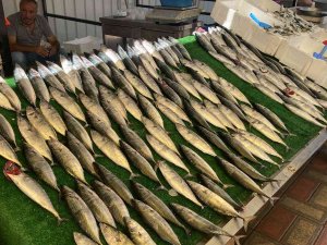 Tezgahlar Palamutla Doldu Taştı, Vatandaş Yoğun İlgi Gösterdi