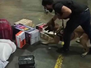 Kargoya Verilen Hoparlörün İçinden Zulalanmış 1 Kilo 620 Gram Uyuşturucu Ele Geçirildi