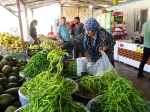 Van’da Meyve Ve Sebze Hasadı Üreticinin Yüzünü Güldürdü