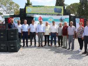 Kırkağaçlı Üreticilere Zeytin Kasası Desteği