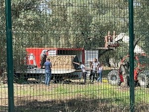 Bursa’da Roma Dönemine Ait Lahit Bulundu