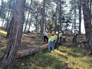 Kütahya’da Üretim Sahalarında Orman Emvalleri Kontrolleri