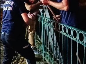 Irmak Kenarında Mahsur Kalan Köpeği İtfaiye Kurtardı
