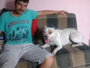 Akıma Kapılan Genç Hayatını Kaybetti
