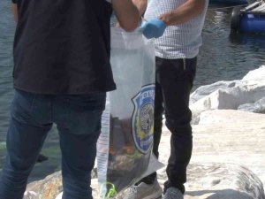 Maltepe’de Yüzmek İçin Denize Giren Genç Boğularak Hayatını Kaybetti