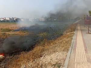 Mahalle Arasında Çıkan Anız Yangını Söndürüldü