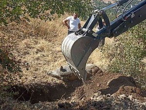 Mahallede Bulunan Yaban Domuzu Leşi İçin Belediye Ekipleri Harekete Geçti