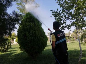 Sincan Belediyesi İlaçlama Ve Dezenfekte Çalışmalarına Devam Ediyor