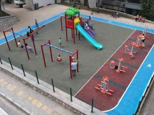 Sıracevizler’e Yeni Nefes