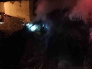 Van’da 150 Balya Ot Yandı